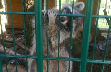 Ferienwohnungen Angela - Foto 52