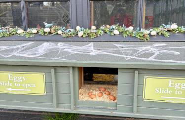 Willow Court Farm Studio East & Petting Farm, 8 mins to Legoland & Windsor, 15 mins to Lapland UK - Foto 25