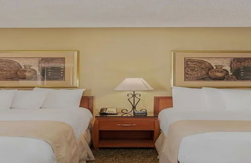Chase Suite Hotel Rocky Point Tampa - Foto 6