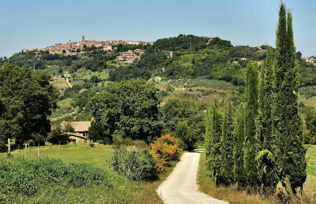 Tuscan Sun With Shared Pool - Foto 22