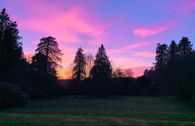 1-bed Cabin, 2 Adults, Wood Burning Hot Tub & Fire - Photo 24