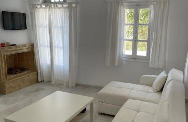 Amedi Villas Tinos - Foto 50