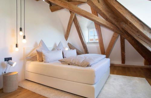 Schloss Kirchberg - Schlossnest - Foto 11