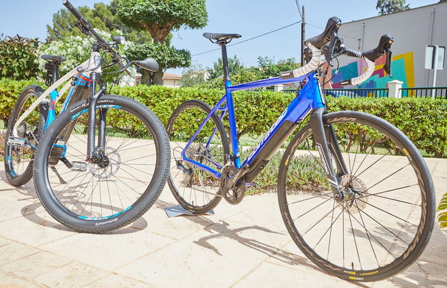 Son Caliu Apartamentos - Photo 38