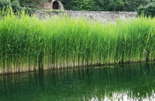 Cocon - 2pers - parking - aéroport - MEET - Photo 17