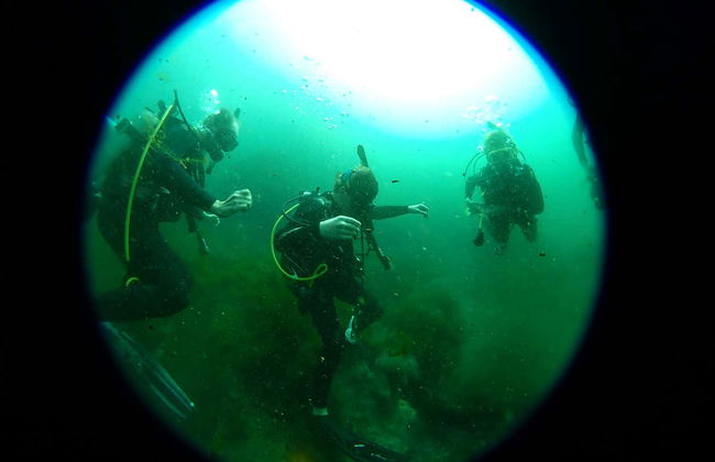 Immersione nel Rainbow River - Foto 5