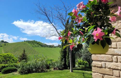 Agriturismo Fiorano - Foto 7