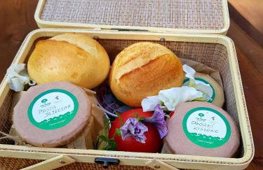 Tree Houses Olszanka - Photo 48