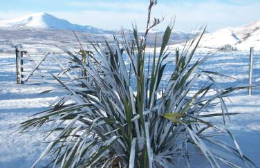 Sharp Edge - Foto 22