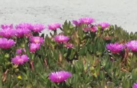 casa azzurra - Foto 21