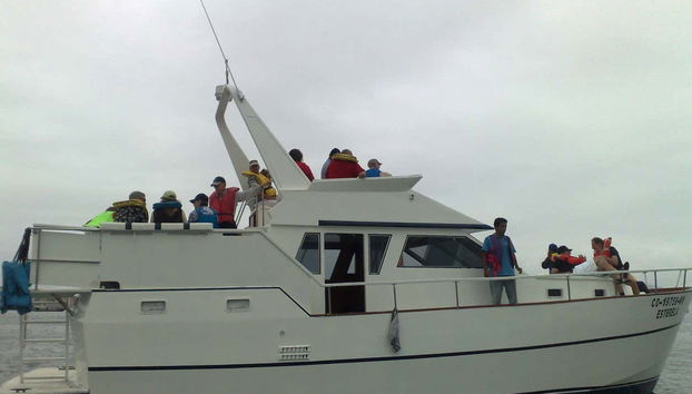 Palomino Islands Boat Trip - Foto 4