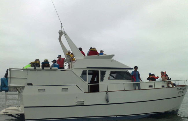 Palomino Islands Boat Trip - Foto 4