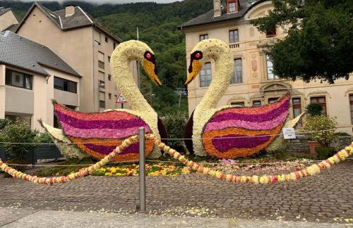 Luchon Holidays, parking, wifi, balcon, cave, T3 8 personnes - Photo 34