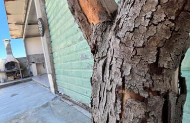 Casa vacanze Metauria - Foto 4