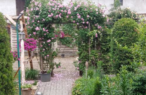 Gospodarstwo agroturystyczne - Foto 4