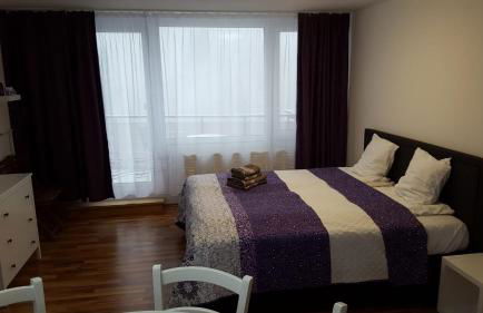 Appartement Grün-Weiß - Foto 2