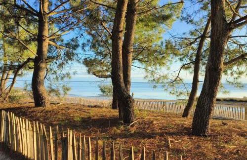 Hang'Ares, espace unique entre Bassin et Océan - Foto 28