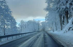 Maries bunte Villa - Foto 31