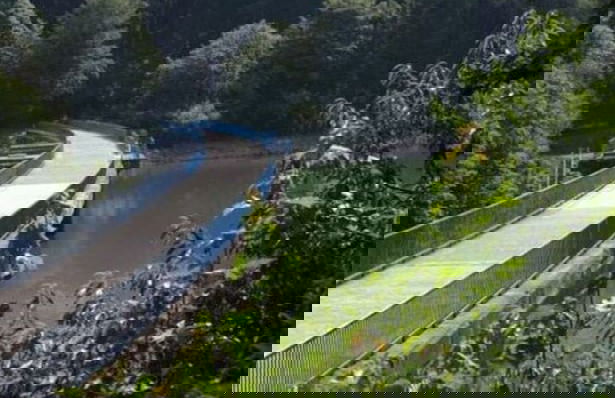 Kickelhahn Comfortable Holiday Residence - Foto 11