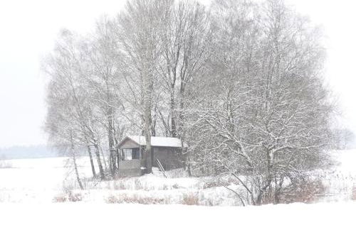 Ferienhof Schlag - Foto 17