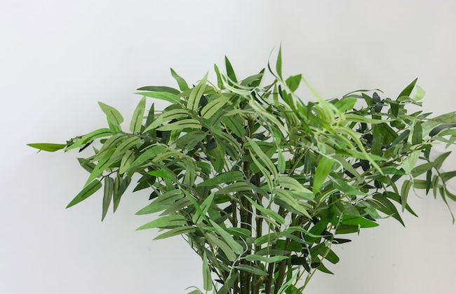 PS House Kimolos - PS Rental - Foto 42