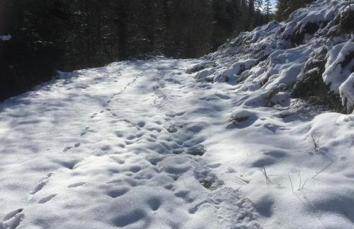 Ferienwohnung Kuckuck auf dem Sommerberg incl Schwarzwald Plus-Karte - 2 Zimmer 50qm - Foto 59