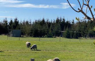 Apartment Dellarte by Interhome - Photo 25