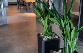 SUNSET SUITE SPA - Foto 9