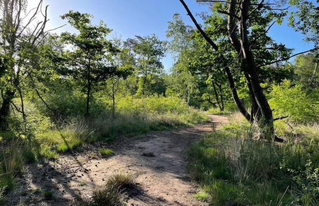 Woodland Stay With Heated Pool - Foto 39