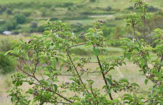 Luxury Farmhouse with Swimming Pool, By TimeCooler - Photo 76