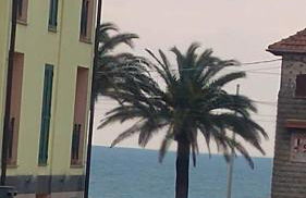 Appartamento Dalia - Foto 36