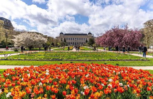 Studio très joli rénové quartier Notre-Dame Jardin des Plantes Panthéon près de la Seine - Foto 10