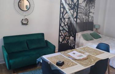 Studio plein centre face au lac, cave vélo - Foto 1