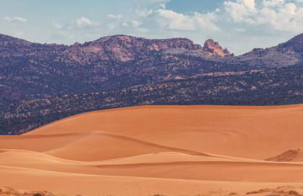 Timber & Tin F 2Bed 2Bath w Pool & Rooftop Deck - Foto 77