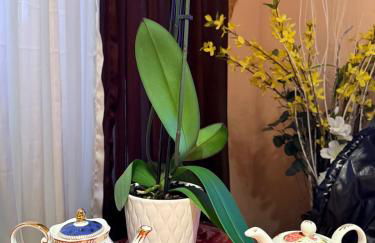 House For Rent Near MetLife Stadium - Foto 18