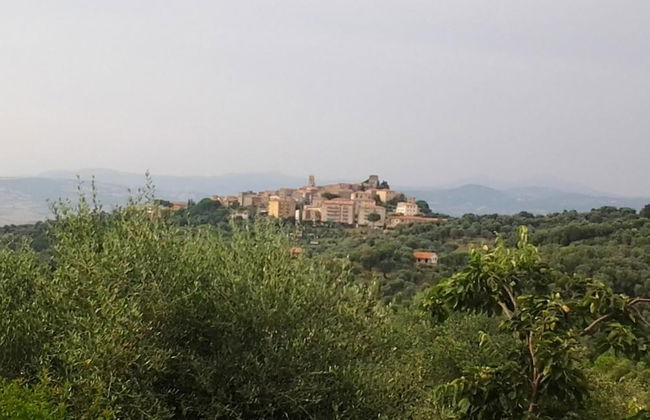 Agriturismo Norianino - Photo 16