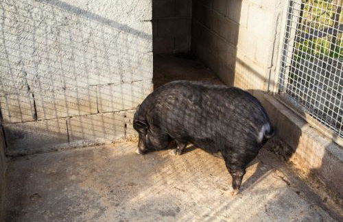 Agriturismo Fassi - Foto 48