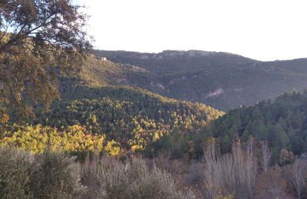 Apartamentos El Callejón - Foto 19