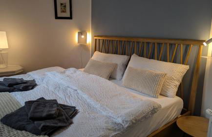 Rheinsteig-Ferienwohnungen 5 Apartments - Foto 42