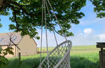 The Stable - NC500 - Photo 28