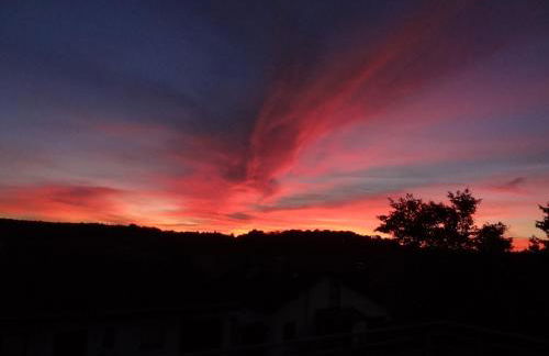 Ruhe - Oase am Eichwald - Photo 21