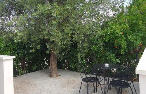 All'ombra dell'ulivo - Foto 18