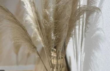 Appartement cosy en centre ville - Foto 21