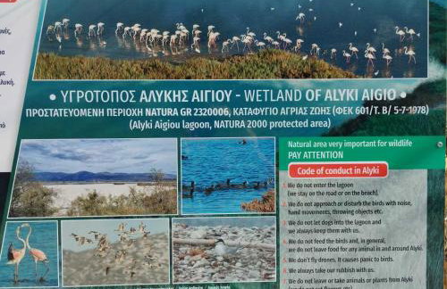 House by the sea - Foto 9