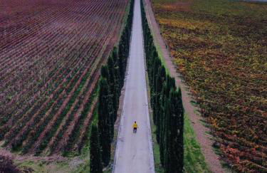 Fattoria Colsanto - Foto 8