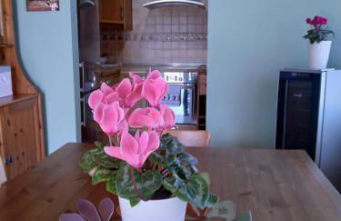 Villa Finca del Abuelo Carlos - Foto 18