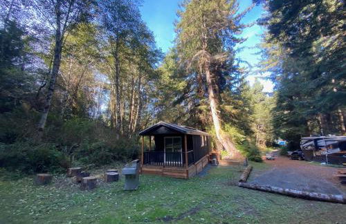 The Black Bear Cabin - Foto 9