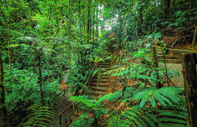 Cabañas Caeli Rainforest Glass Cabin La Perezosa La Fortuna - Foto 38