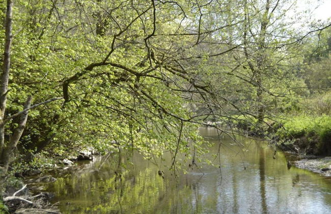 Group Villa With Sauna - Foto 21