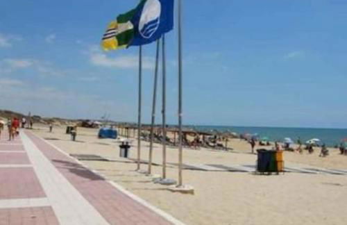 P.B. Apartamento - Foto 29